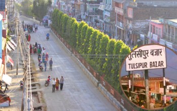 तुलसीपुरमा माटोको जाँच गर्दा अम्लिय, नाइट्रोजन र प्राङ्गारिक पदार्थमा कमी